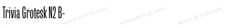 Trivia Grotesk N2 B字体转换 Trivia Grotesk N2 B字体转换